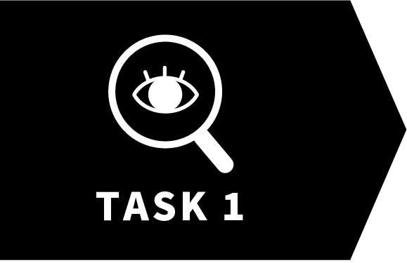 task1