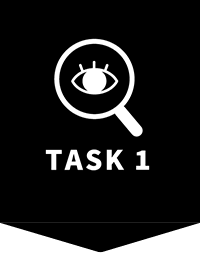 task1